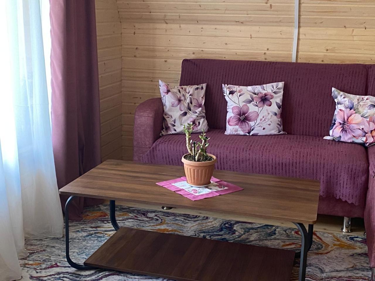 Guesthouse Venera 梅斯蒂亚 外观 照片